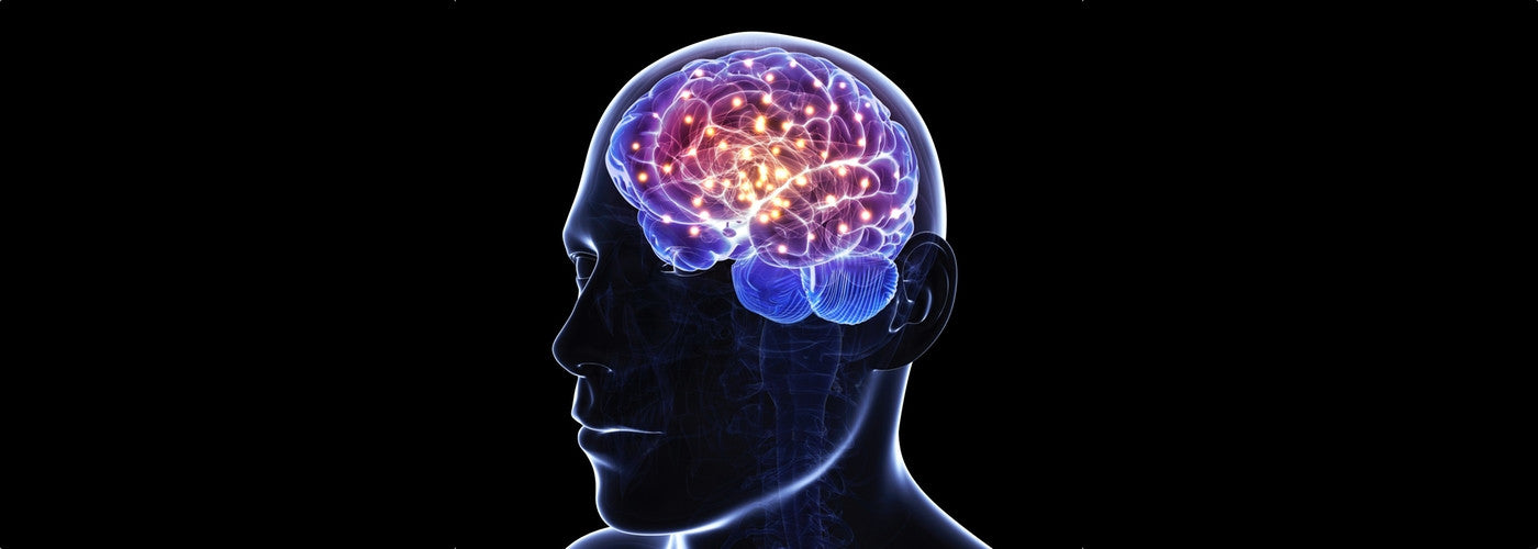 What Is BDNF (Brain Derived Neurotrophic Factor)?